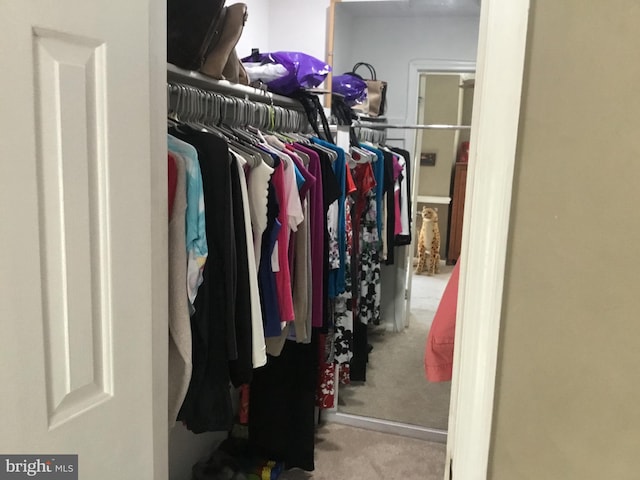 7709 Gromwell Ct, Springfield, VA 22152 - spacious closet featuring carpet floors