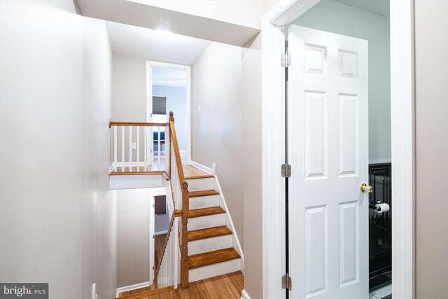 1531 Swain St, Philadelphia, PA 19130 - stairway featuring wood finished floors and baseboards