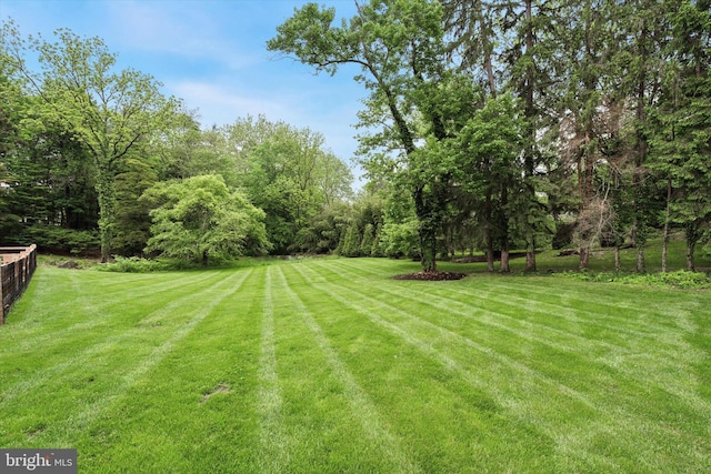 2320 Turk Rd, Doylestown, PA 18901 - view of yard