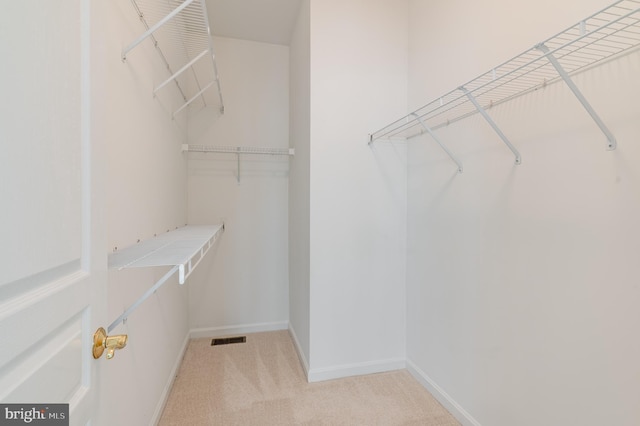 196 Pipers Inn Dr, Fountainville, PA 18923 - walk in closet with carpet floors