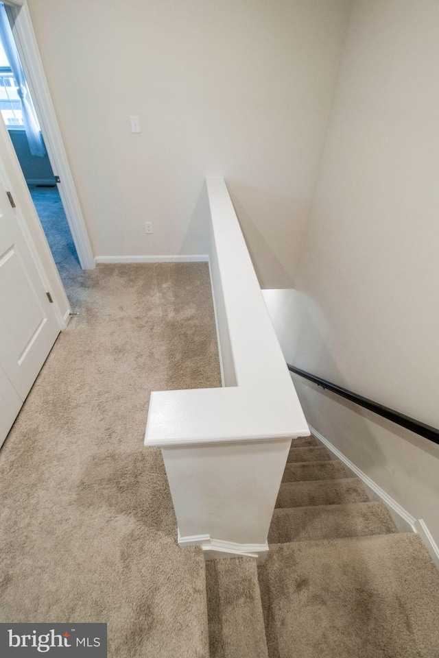 stairs featuring carpet floors and baseboards
