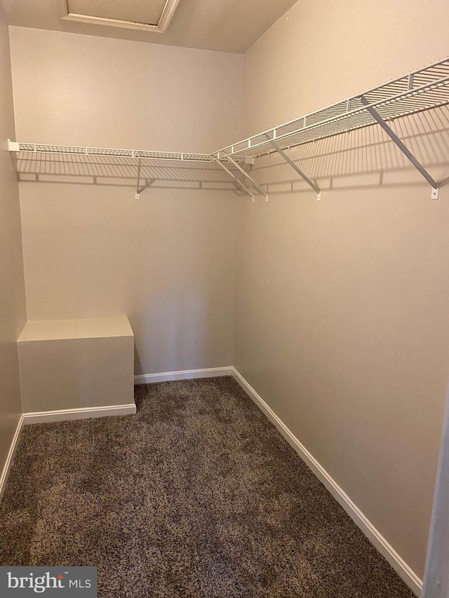 12625 Kempston Ln, Woodbridge, VA 22192 - walk in closet with dark colored carpet and attic access