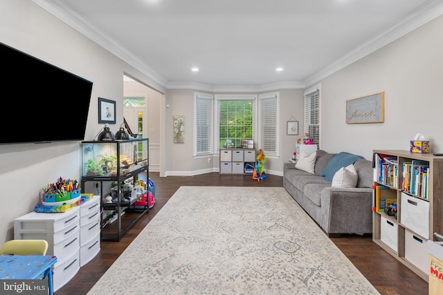 13 Richland Dr, Mount Laurel, NJ 08054 - living area with dark wood-style floors, ornamental molding, recessed lighting, and baseboards