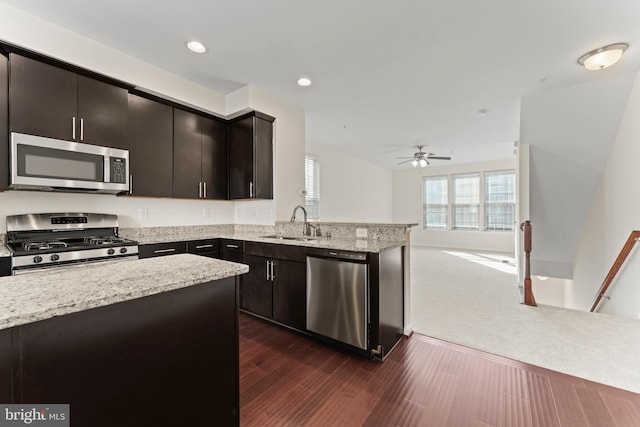 kitchen featuring stainless steel appliances, a sink, a peninsula, a ceiling fan, and open floor plan