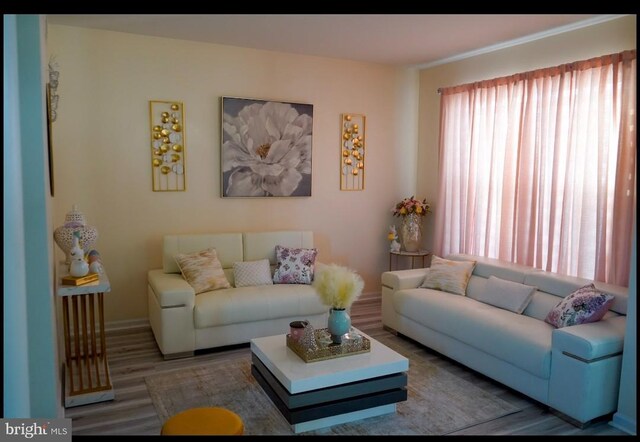 821 Streamview Ln, Vineland, NJ 08360 - living room featuring wood finished floors