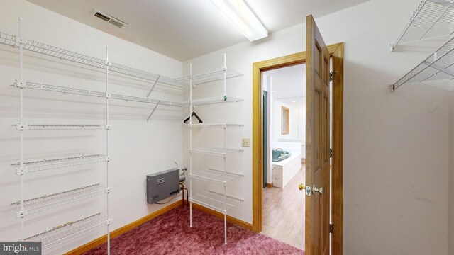 30751 Al Jan Dr, Laurel, DE 19956 - view of spacious closet