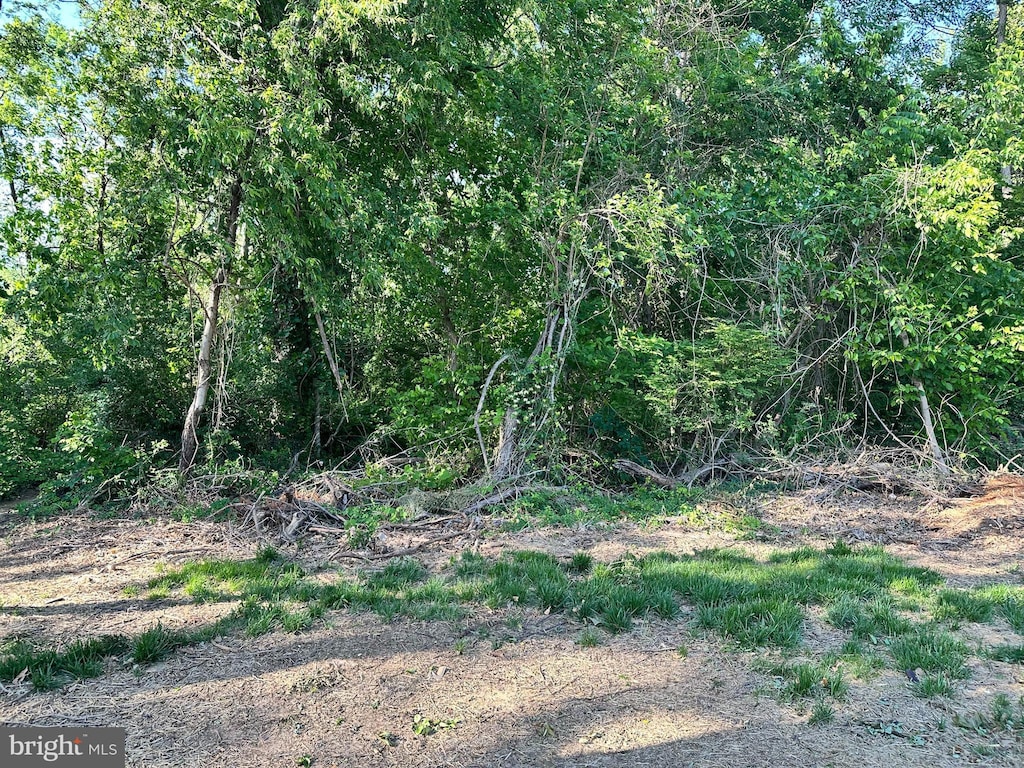 Bryan Ave Lot 83, Gaithersburg, MD 20877