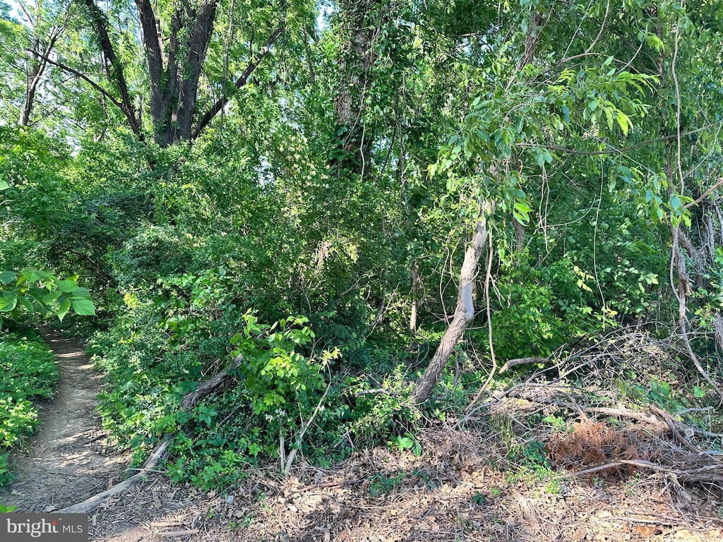 Bryan Ave Lot 83, Gaithersburg, MD 20877