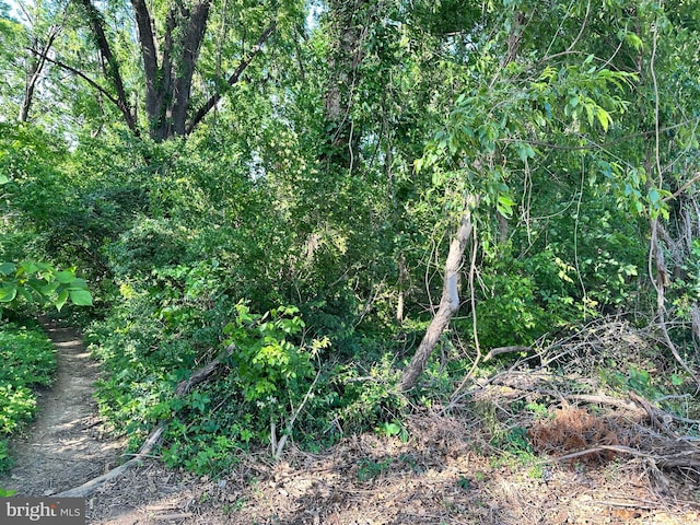 Bryan Ave Lot 83, Gaithersburg, MD 20877