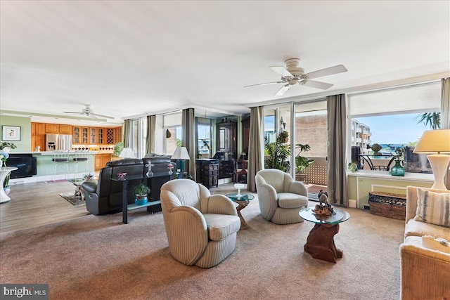 430 M St SW Unit N-609, Washington, DC 20024 - living area with a ceiling fan and light colored carpet