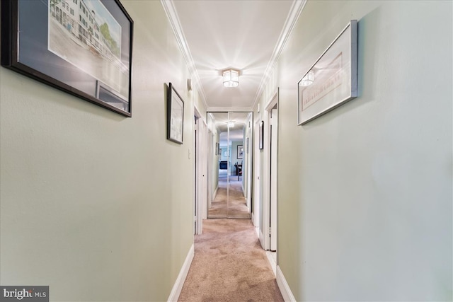 430 M St SW Unit N-609, Washington, DC 20024 - hall with light colored carpet, ornamental molding, and baseboards