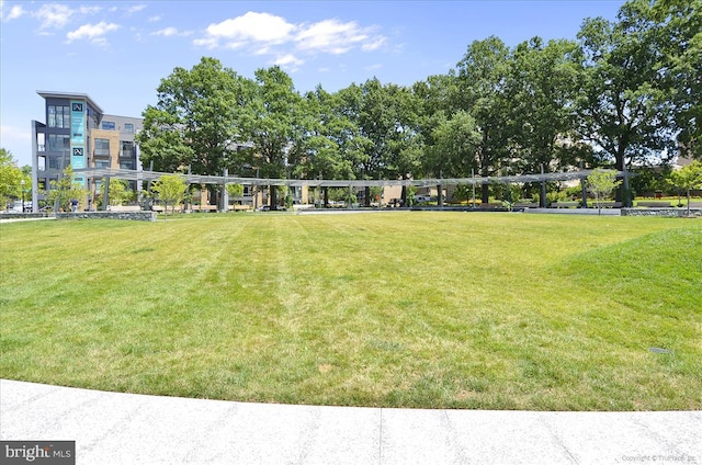 430 M St SW Unit N-609, Washington, DC 20024 - surrounding community featuring a lawn
