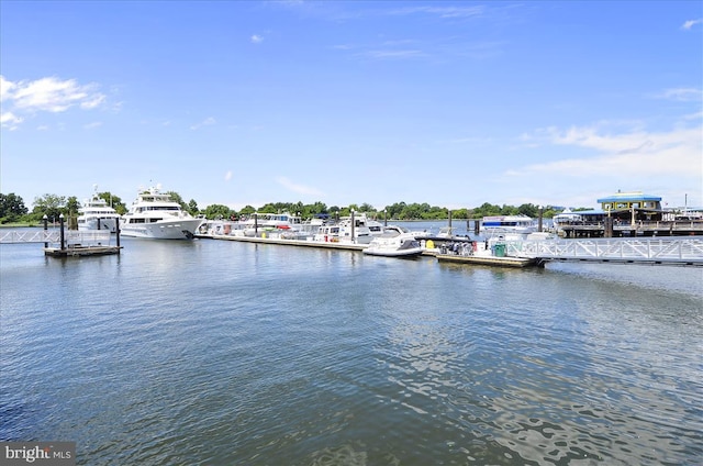 430 M St SW Unit N-609, Washington, DC 20024 - dock area with a water view