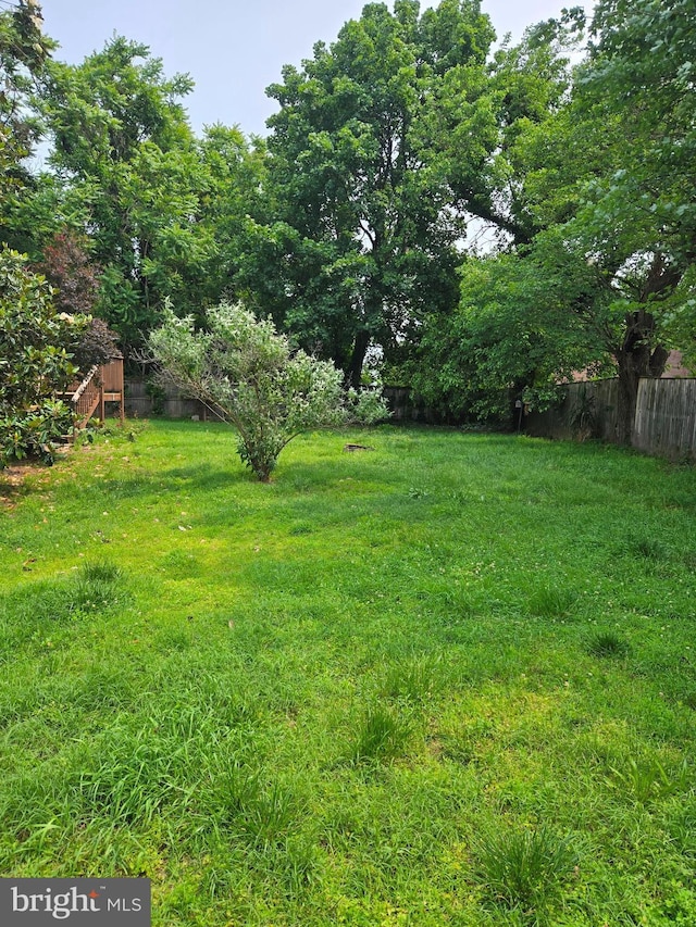view of yard