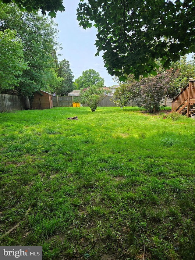 view of yard