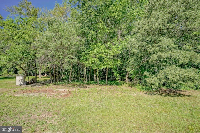 360 N Broad St, Clayton, NJ 08312 - view of grassy yard with a forest view and a shed