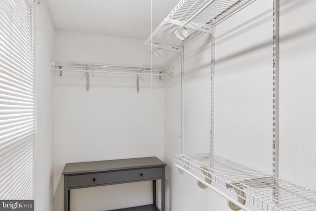 30 Towns Ct, Baltimore, MD 21237 - view of spacious closet