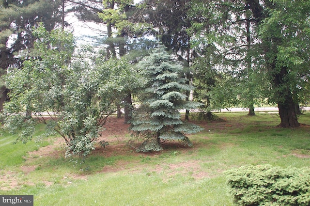 404 Franklin Ct, North Wales, PA 19454 - view of yard