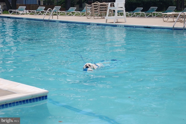 404 Franklin Ct, North Wales, PA 19454 - community pool with a patio