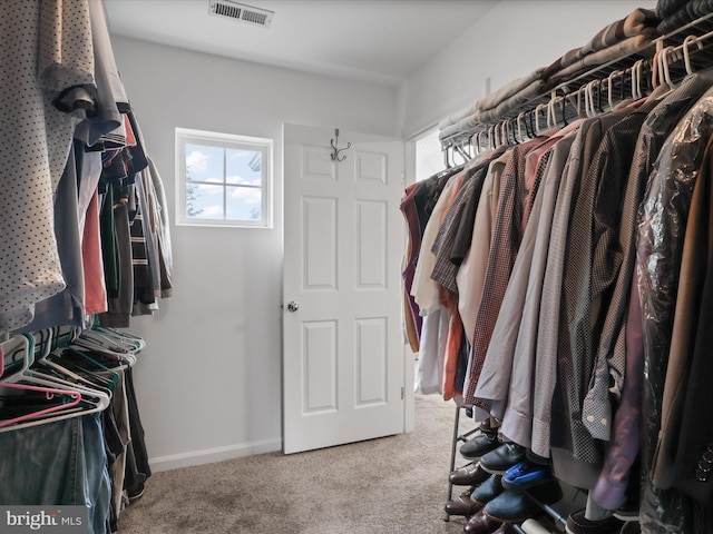 9499 Ballagan Ct, Bristow, VA 20136 - spacious closet with carpet floors