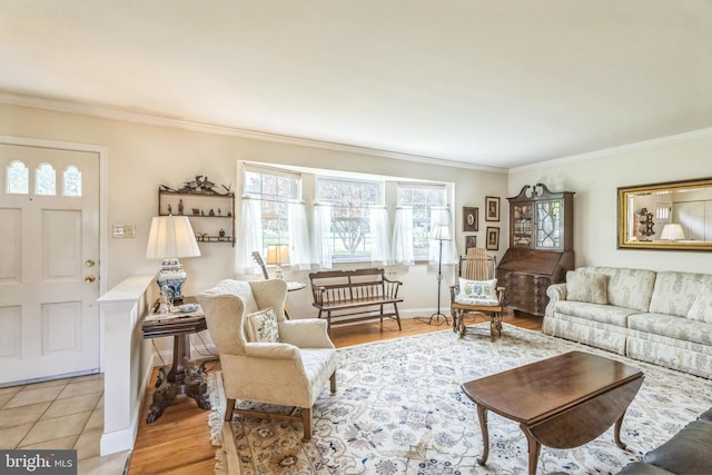 221 Shirley, Jeffersonville, PA 19403 - living area featuring crown molding, plenty of natural light, and light wood finished floors
