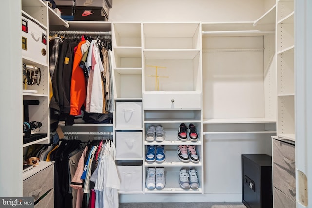 1724 Atlas Dr, Frederick, MD 21702 - view of walk in closet