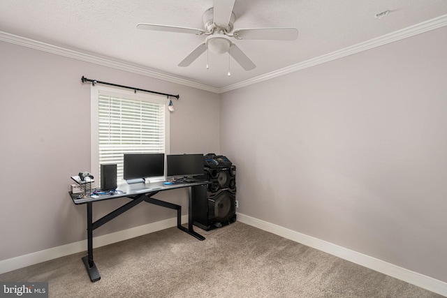 16155 Kerby Dr, Orange, VA 22960 - office space with ornamental molding, ceiling fan, carpet floors, and baseboards