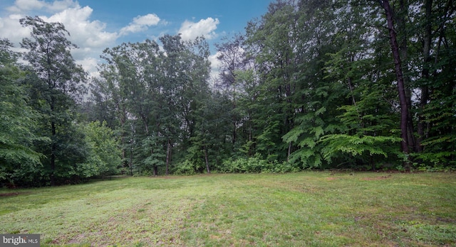 16155 Kerby Dr, Orange, VA 22960 - view of grassy yard with a view of trees