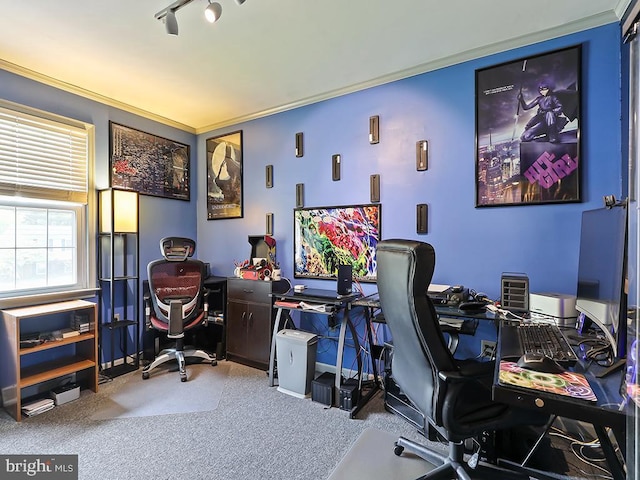 201 Hunter Ln, North Wales, PA 19454 - view of carpeted office space