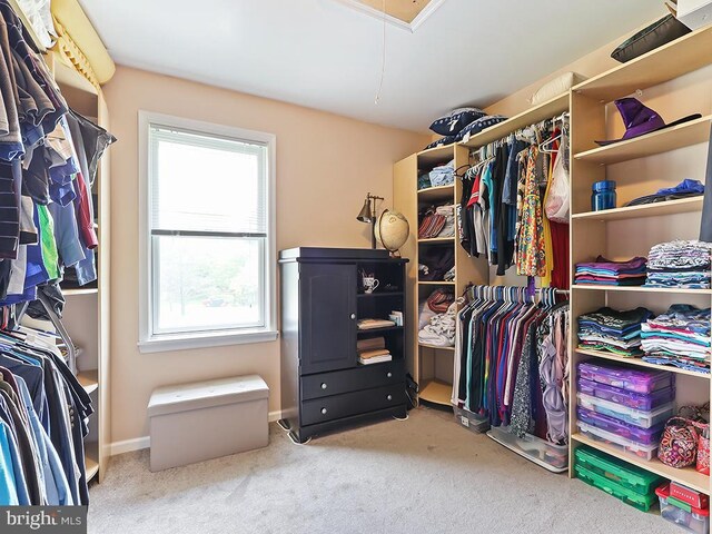 201 Hunter Ln, North Wales, PA 19454 - walk in closet with attic access and carpet
