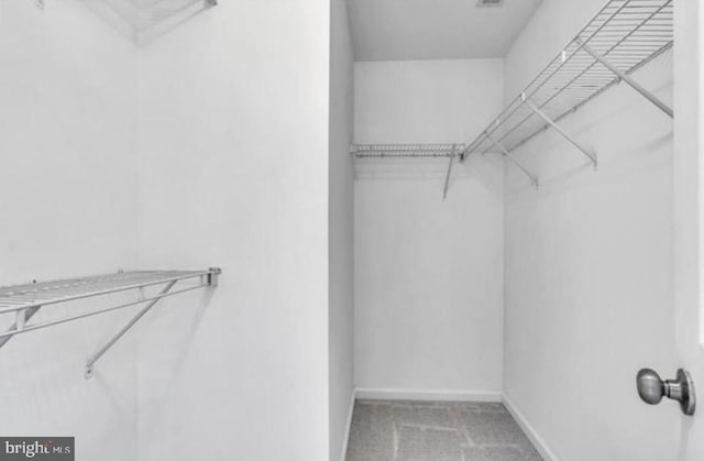 walk in closet with carpet floors