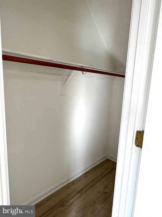 326 Banbury Ter, Winchester, VA 22601 - walk in closet with wood finished floors and vaulted ceiling