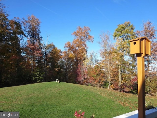 18776 Pier Trail Dr, Triangle, VA 22172 - view of green lawn