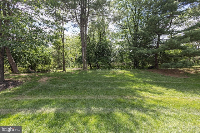 view of green lawn