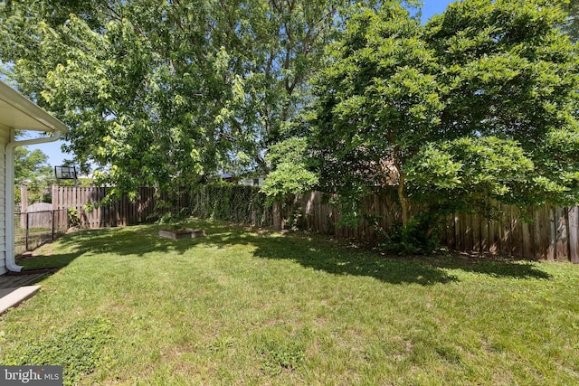 12516 Castleleigh Pl, Silver Spring, MD 20904 - view of yard