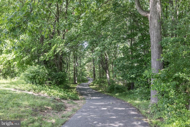 12516 Castleleigh Pl, Silver Spring, MD 20904 - view of street featuring a forest view