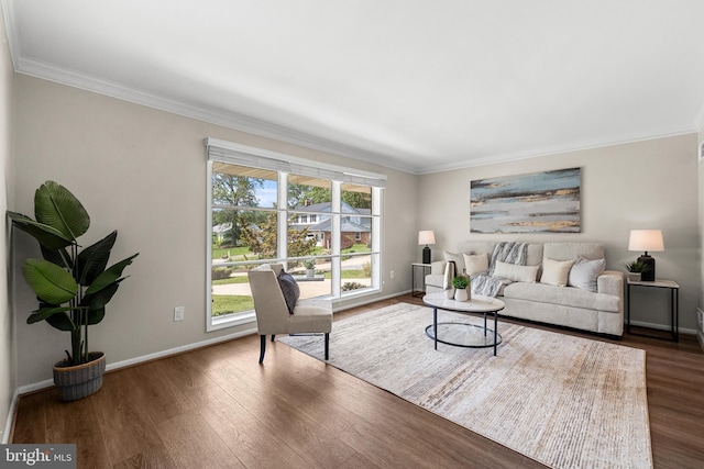 12516 Castleleigh Pl, Silver Spring, MD 20904 - living room featuring crown molding, wood finished floors, and baseboards