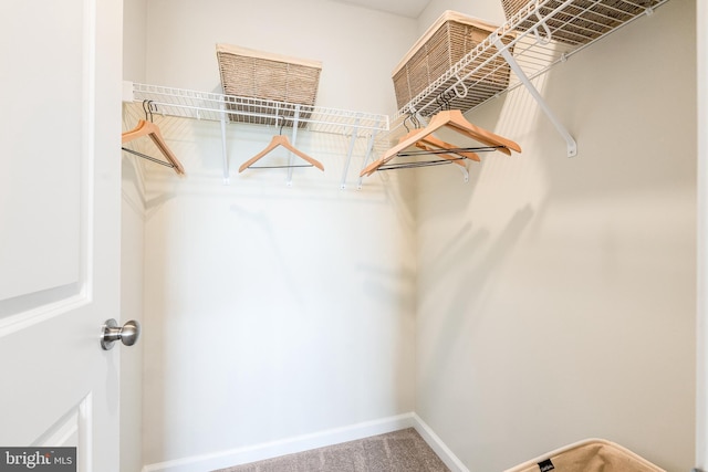 311 Sandy Bottom Cir Lot 127Quincy, Ranson, WV 25438 - spacious closet featuring carpet floors
