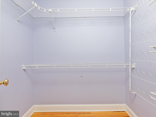 2411 Windwood Dr, Winchester, VA 22601 - walk in closet with wood finished floors