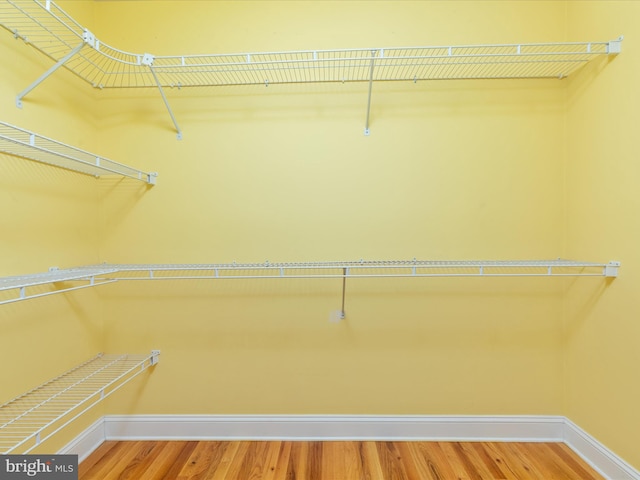 2411 Windwood Dr, Winchester, VA 22601 - spacious closet with wood finished floors