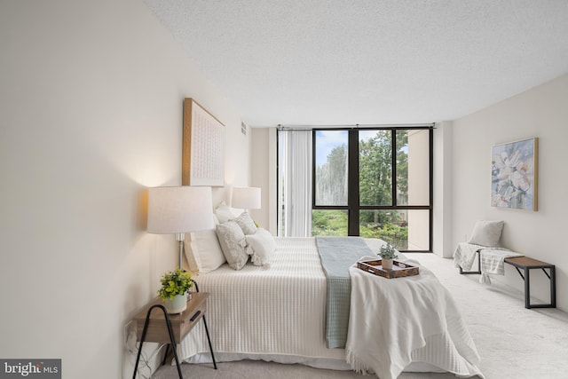 5300 Holmes Run Pkwy Unit 403, Alexandria, VA 22304 - bedroom with carpet, a textured ceiling, and expansive windows