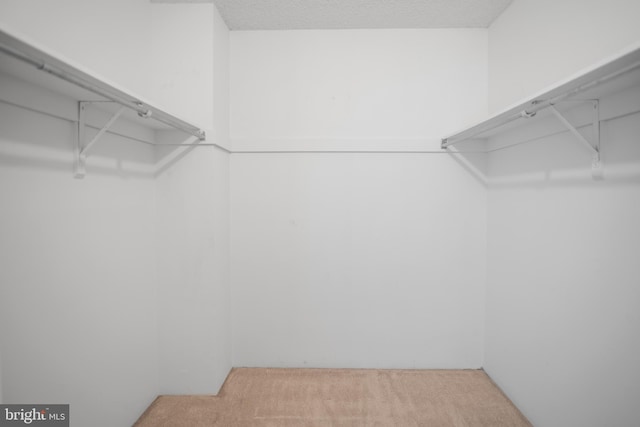 5300 Holmes Run Pkwy Unit 403, Alexandria, VA 22304 - spacious closet with light colored carpet