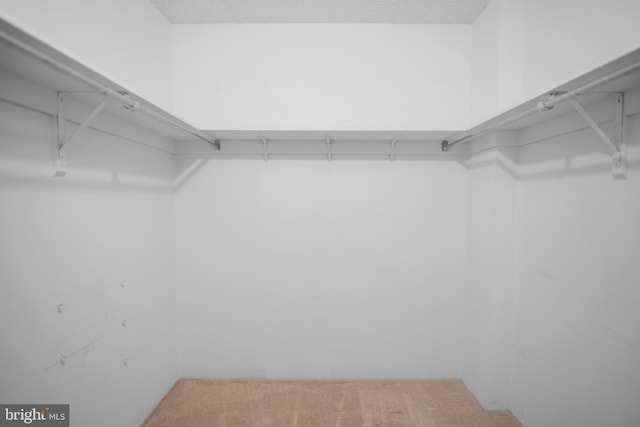 5300 Holmes Run Pkwy Unit 403, Alexandria, VA 22304 - walk in closet with carpet flooring