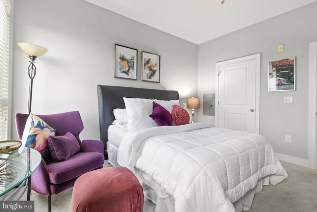 4701 Old Soper Rd Unit 565, Suitland, MD 20746 - bedroom with carpet flooring, baseboards, and electric panel