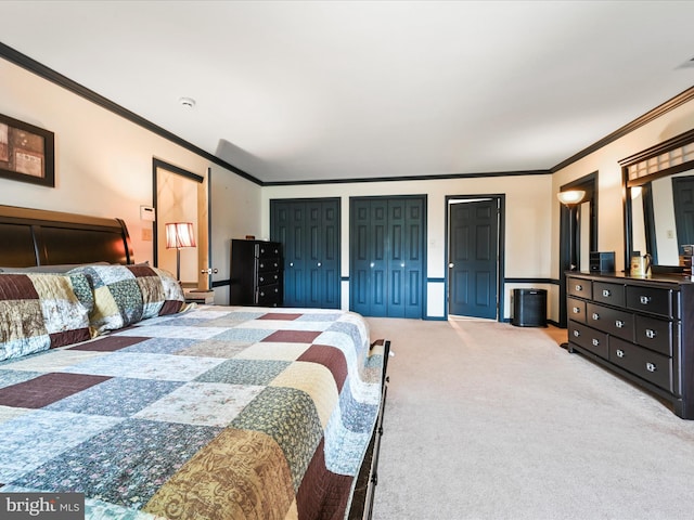 3622 Pricetown Rd, Fleetwood, PA 19522 - bedroom with two closets, ornamental molding, and carpet flooring