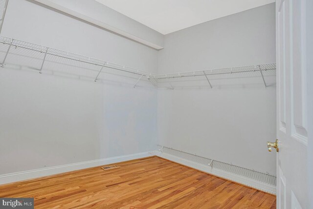5257 Ferry Branch Ln, Lothian, MD 20711 - walk in closet with light wood-style flooring
