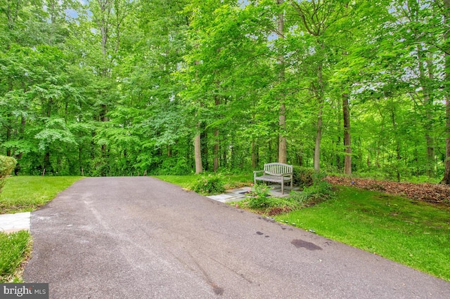 5257 Ferry Branch Ln, Lothian, MD 20711 - view of road with a view of trees
