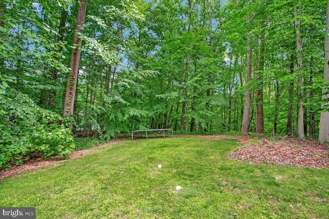 5257 Ferry Branch Ln, Lothian, MD 20711 - view of grassy yard