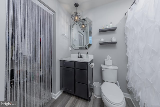 33 Burr St, Williamstown, NJ 08094 - bathroom featuring wood finished floors, toilet, vanity, and curtained shower