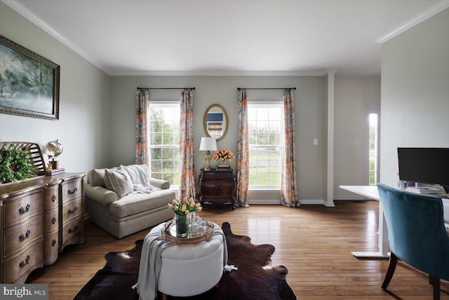 47 Orleans Dr, Shepherdstown, WV 25443 - living area with ornamental molding, wood finished floors, and baseboards